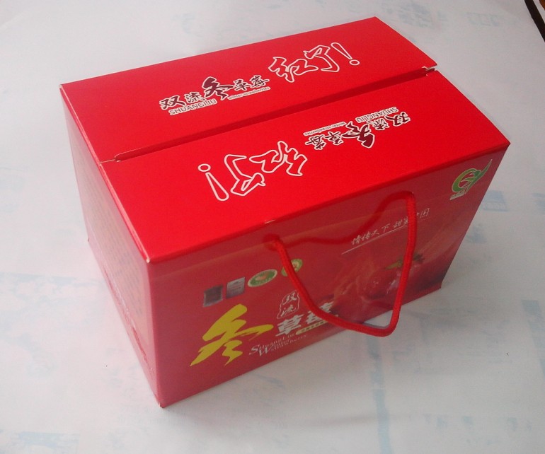 ��ꖲ�ݮ���b����